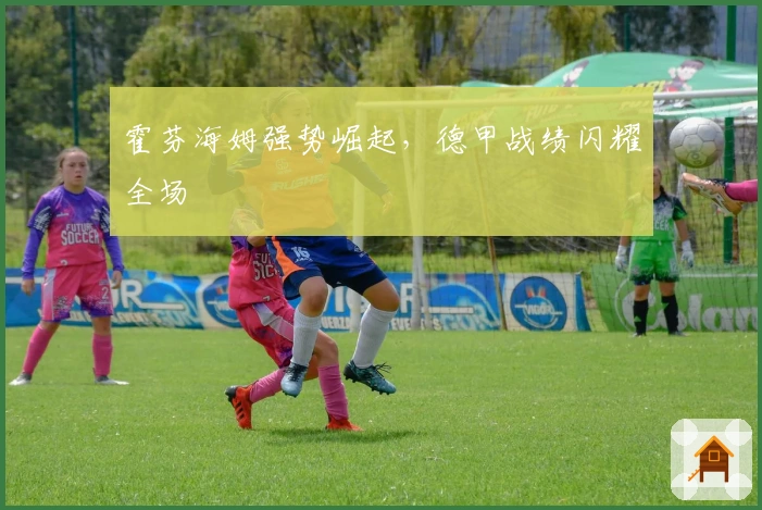 霍芬海姆强势崛起，德甲战绩闪耀全场