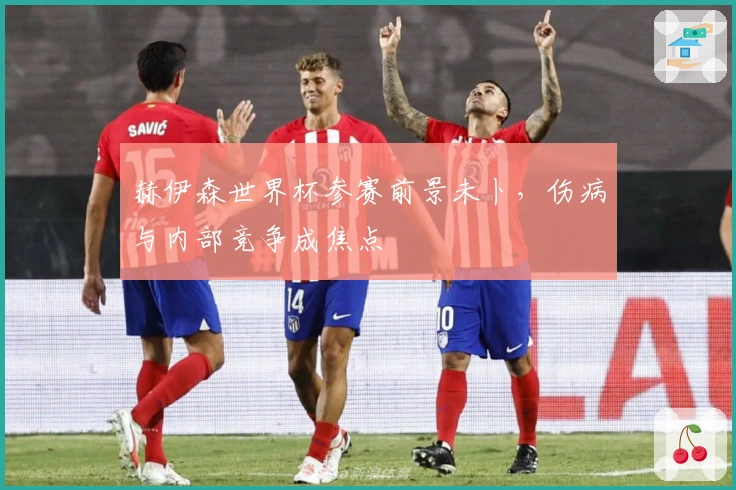 赫伊森世界杯参赛前景未卜，伤病与内部竞争成焦点